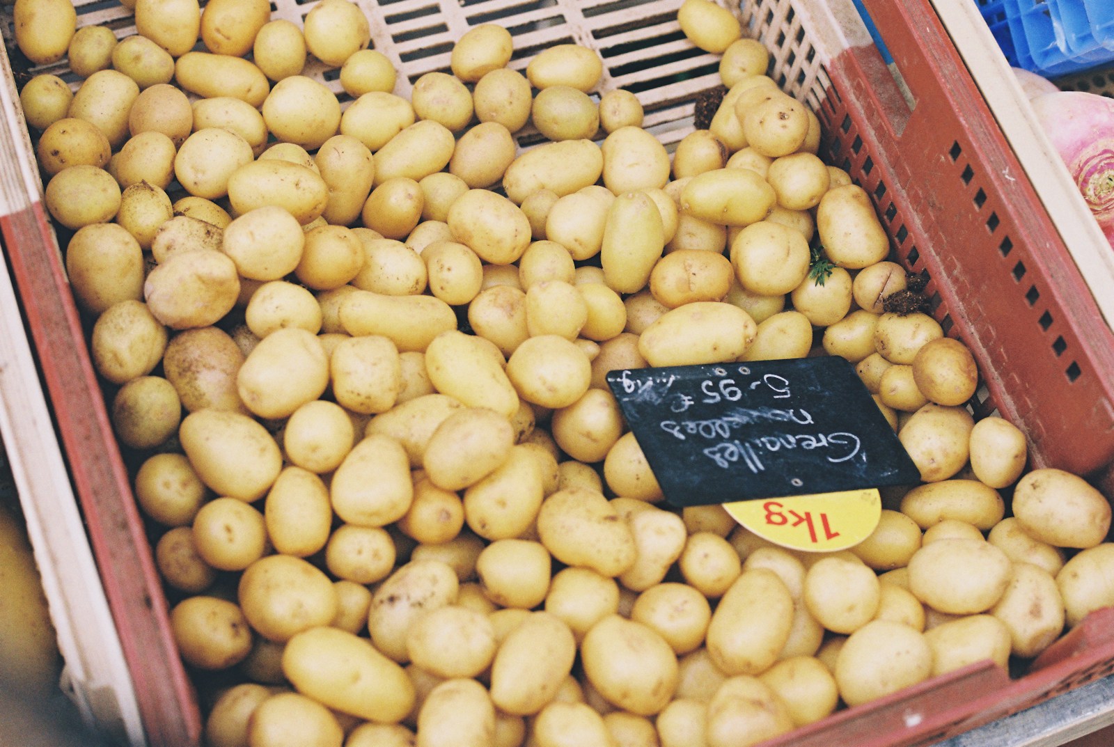 Quality potatoes ready for supply